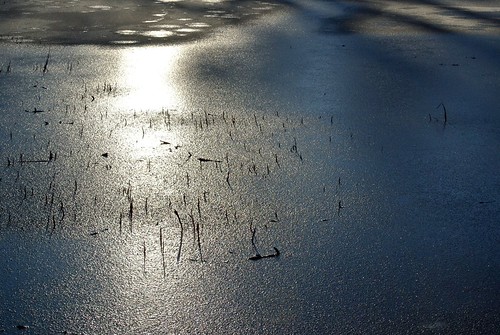 Untitled | by Steve J Makin