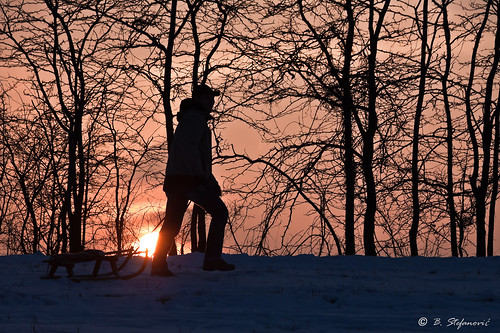 winter light sunset people tree silhouette canon serbia