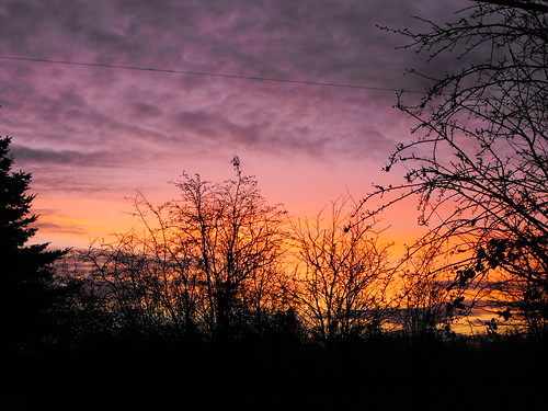 trees clouds sunrise scenery bc britishcolumbia langley fraservalley lowermainland