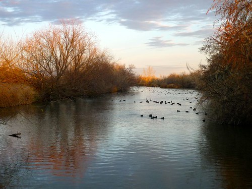 november reflection sunrise pond idaho waterfowl nampa wilsonsprings wilsonponds trophypond