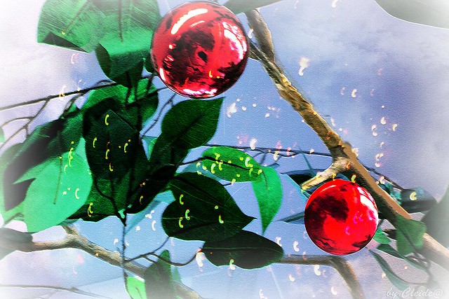 ♣ Christmas tree ♣ Brazil ♣