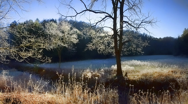 Panorama ~ November Frost