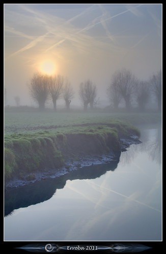 trees mist fog sunrise canon belgium belgique belgië erlend muizen 24105mm 60d erroba robaye