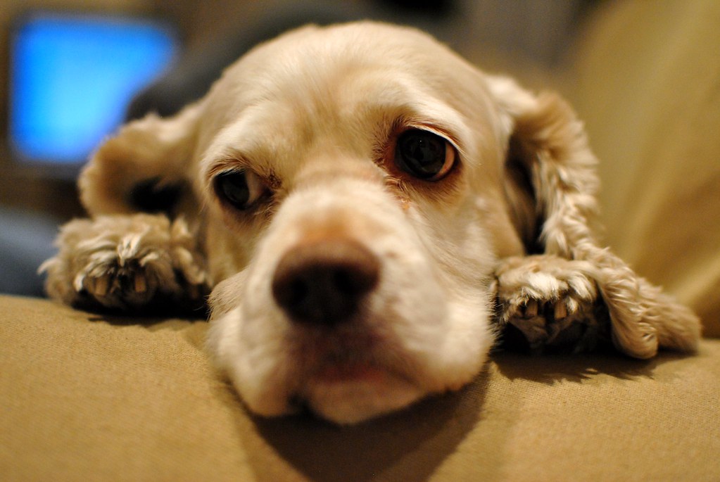 Sad Mumby