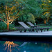 The S. garden in suburban MD with lighting designed by Outdoor Illumination