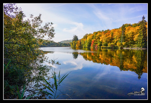 Etang supérieur des Marots, "2015" by Christian Labeaune, Couleurs d'automne, forêt Châtillonnaise, Impression du Châtillonnais, Bourgogne France...france aut