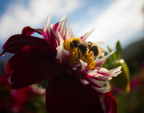 Teamwork | by ElliSch1981