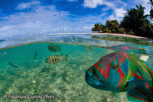 Tikehau-lagon-1-Frederique-legrand