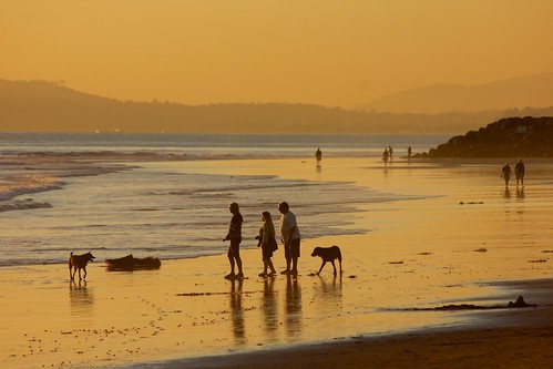 beach sunset california carpinteria autumn color reflection sand sea ocean dogs people walking horizontal ©karolfranks okarolyahoocom