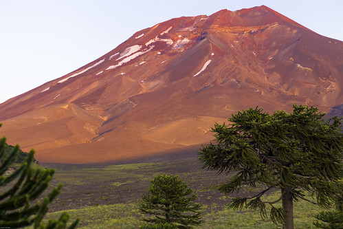 lonquimay volcan volcano atardecer sunset chile araucania corralco losandes cordillera naturaleza nature araucarias