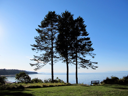 summer canada britishcolumbia lodge hornbyisland 2011 seabreeze