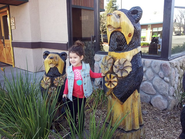 Marley And The Bears