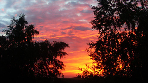 sunset cloud france color tree landscape soleil village north coucher nuage paysage arbre nord pasdecalais herbelles