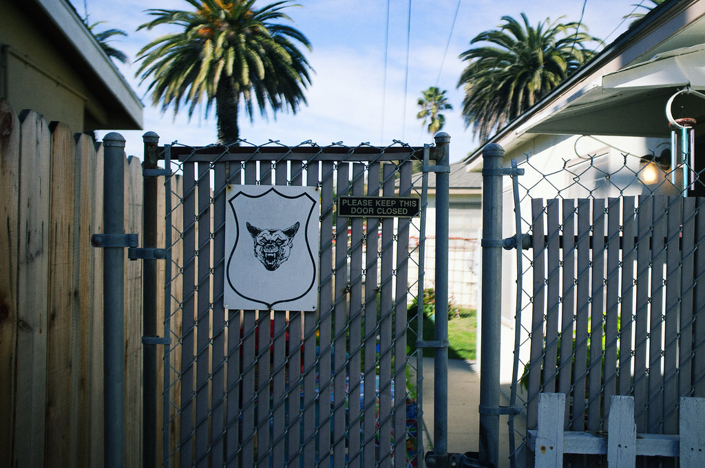 Chain-link gate with snarling panther sign and 'Please Keep This Door Closed' sign beside palm trees.