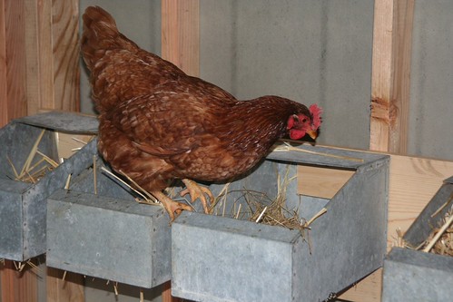 Nesting boxes | by kate_stine
