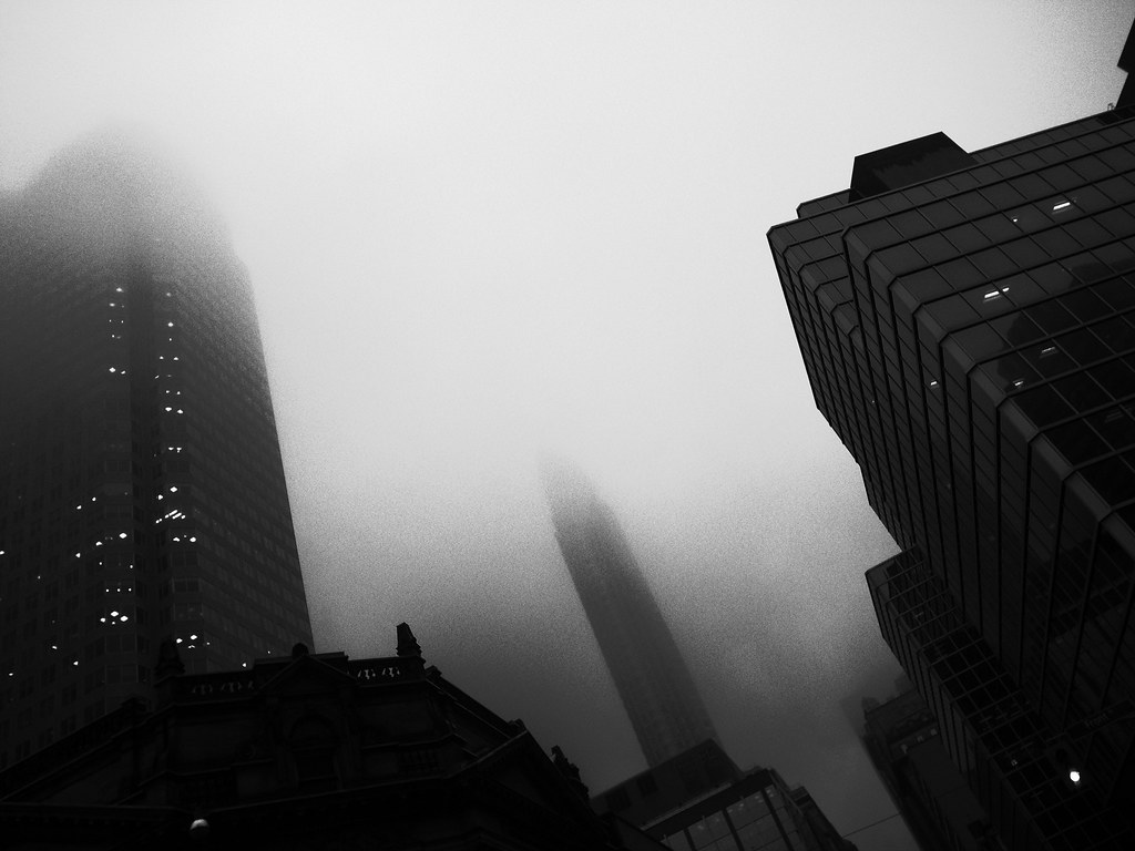 Winter fog | Crazy temperature changes = can't see a thing. | Simon ...