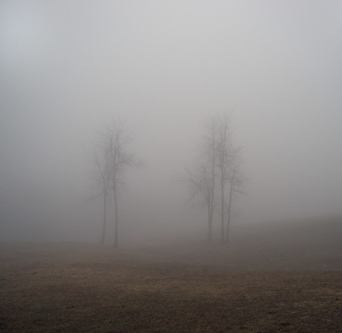 trees mist fog landscape nebel northcarolina pasture obscured