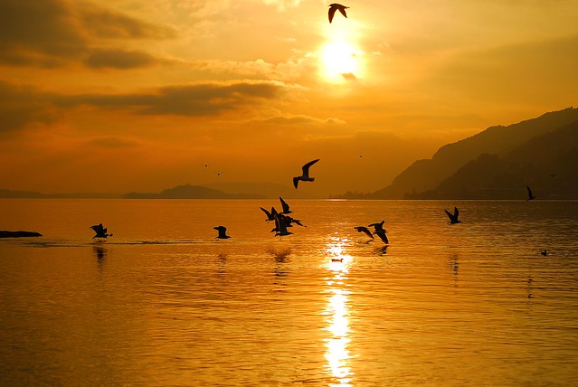 Lac de Bienne animation et coucher de soleil