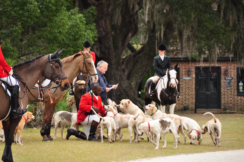 Middleton Hunt DSC_2041 | Annual fox hunt at Middleton Place plantation, SC ...