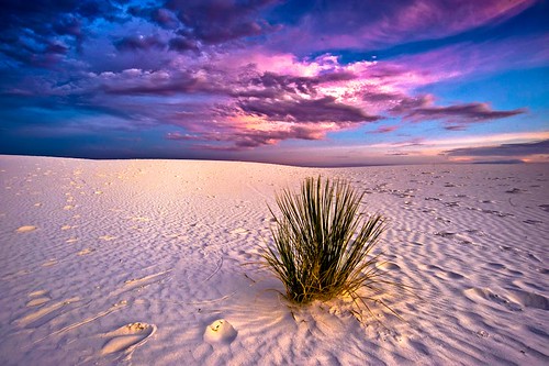 new sunset sky plant colors colin clouds mexico sand nikon desert whitesands gallagher d700 colingallagher