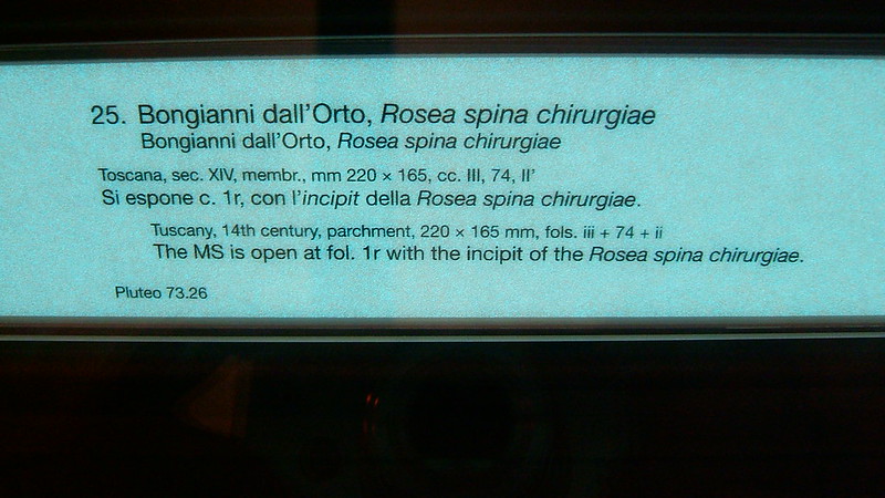 Manuque MOSTRA: Consilioque manuque. La Chirurgia nei manoscritti della ...