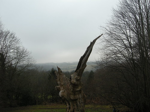 tree sculpture 