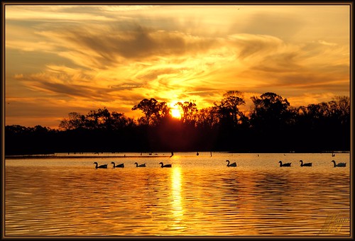 park sun reflection nature water sunrise pond scenery texas wildlife scenic bayou pasadena bayareapark armandbayou