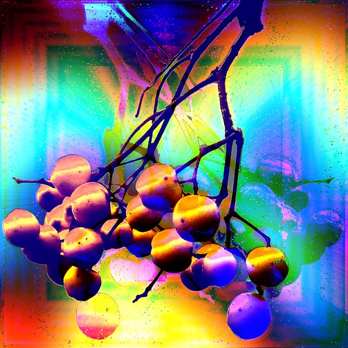 "THE (i'm not quite sure what they are) AND THE IVY" | by maxxximpact