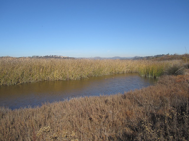 San Elijo Lagoon Ecological Reserve