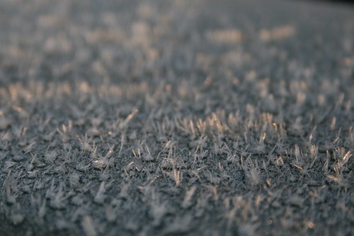 Ice crystals on a bench
