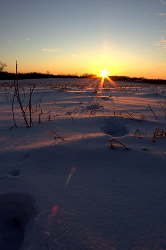 _MG_2176 by authentic_alex, winter sunset snow field closeup landscape t2i