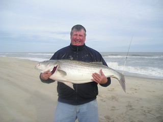 Photo of man holding a striped bass at the ocean
