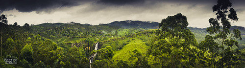 trees sky panorama cloud mountains nature grass canon landscape photography countryside tea hills jungle plantation 7d srilanka nuwaraeliya 24105mm