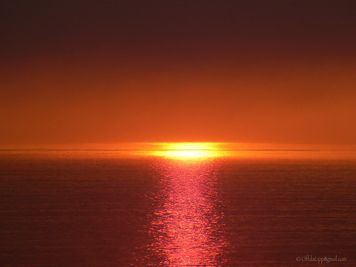 Liquid Gold | by OffdaLipp