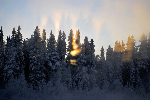 light sunset snow sol michael sigma å 1855 snö träd björnrike 1850 solnedgång johansson dimma ljus abies michaeljohansson agatefilm ågatefilm