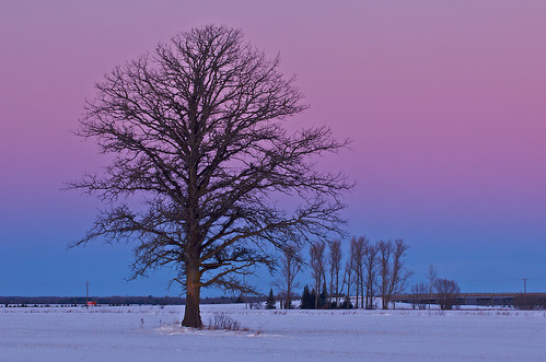 winter usa snow tree field landscape twilight wind michigan i75 rudyard chippewacounty windchill centerlineroad 49780