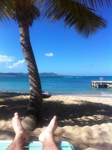 ocean feet beach view palmtree stcroix virginislands