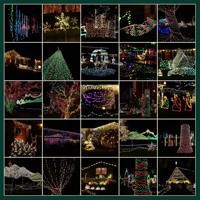 The Lights of Christmas - 2010-2011