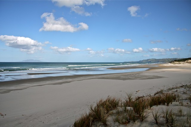 Pakiri Beach