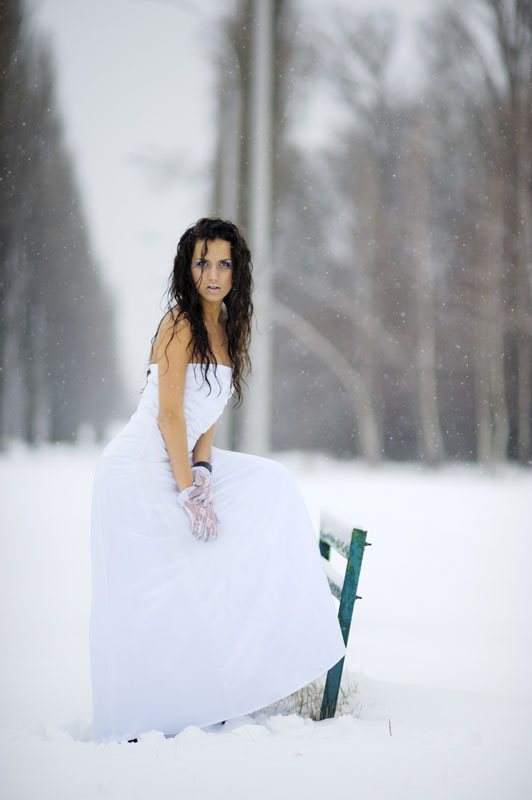 Невеста мороза // Bride of Frost