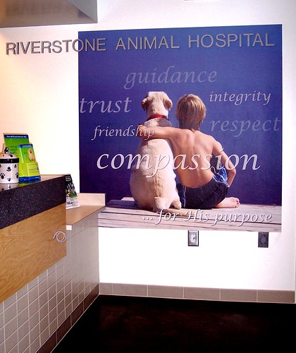 Riverstone Animal Hospital | Flickr