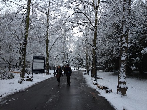 Froebel driveway in the snow