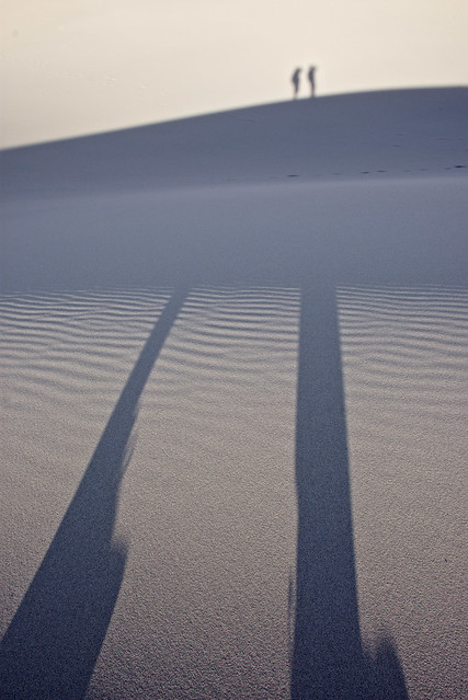 shadows in the sand