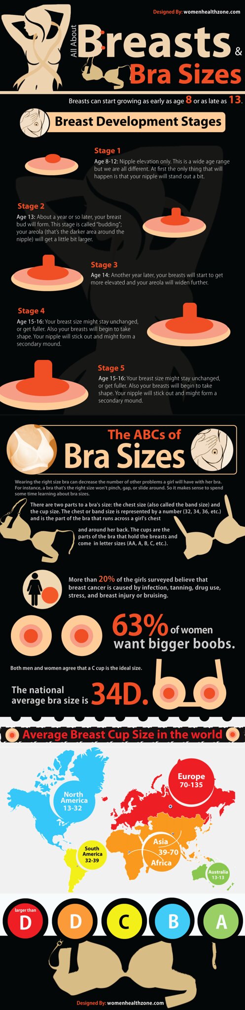 All About Breast and Bra Sizes (Infographic), Breast develo…