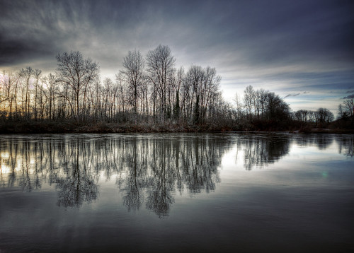 trees reflection oregon river hdr