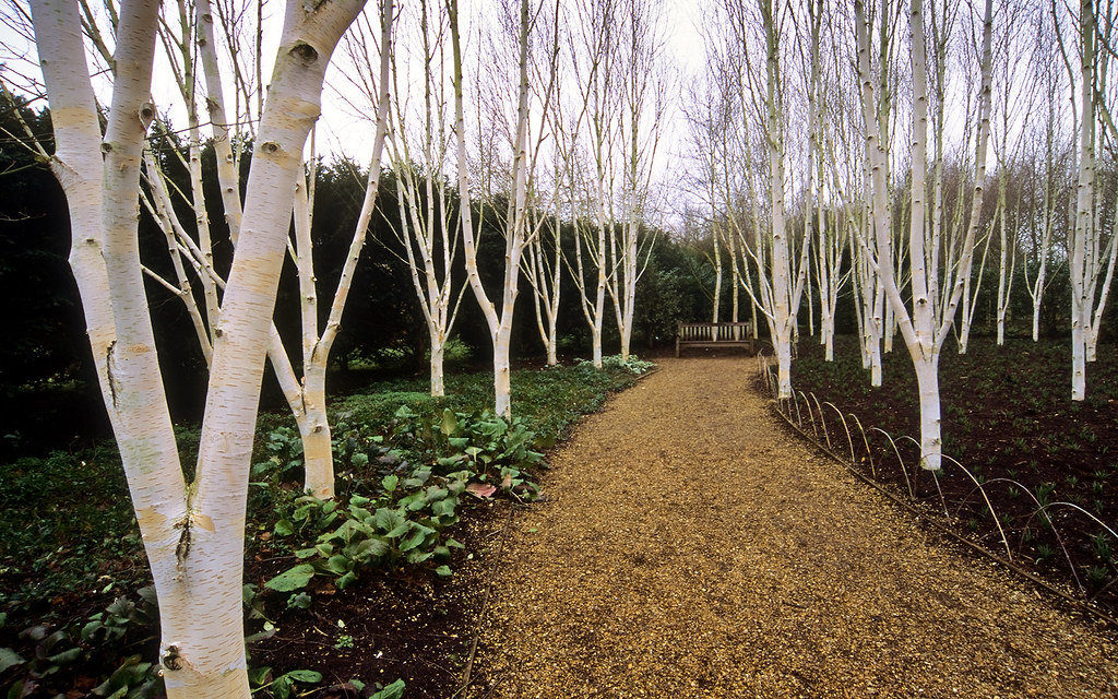 Anglesey Abbey Winter Gardens (National Trust), Cambridgesâ€¦ | Flickr
