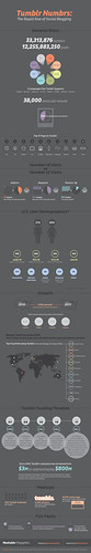 mashable_infographic_graphics-tumblr1 | by Jeremy Waite