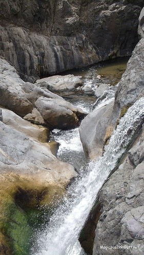 rio river puertorico cascadas saltos coamo magicbus2pr