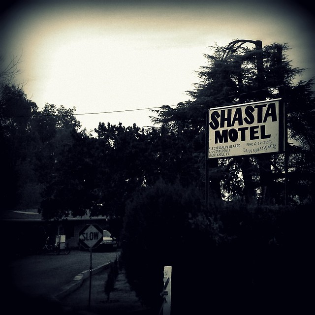 shasta motel