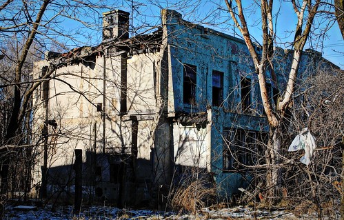 trees urban house abandoned midwest mess decay indiana gary cit garyindiana povery troubledtimes